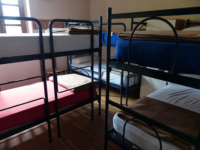 Bed Bunk 2